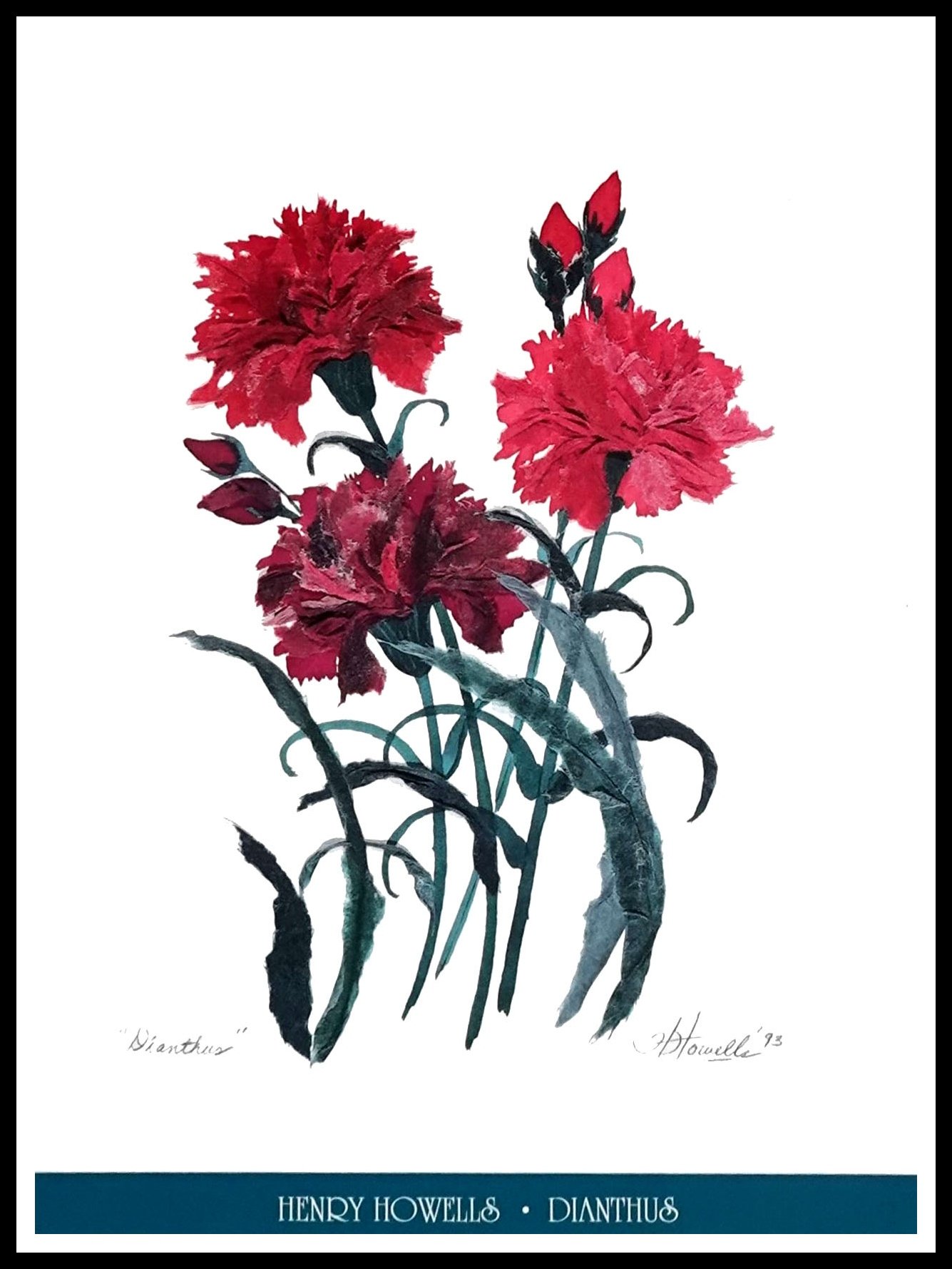 HHG HH066 Dianthus Small